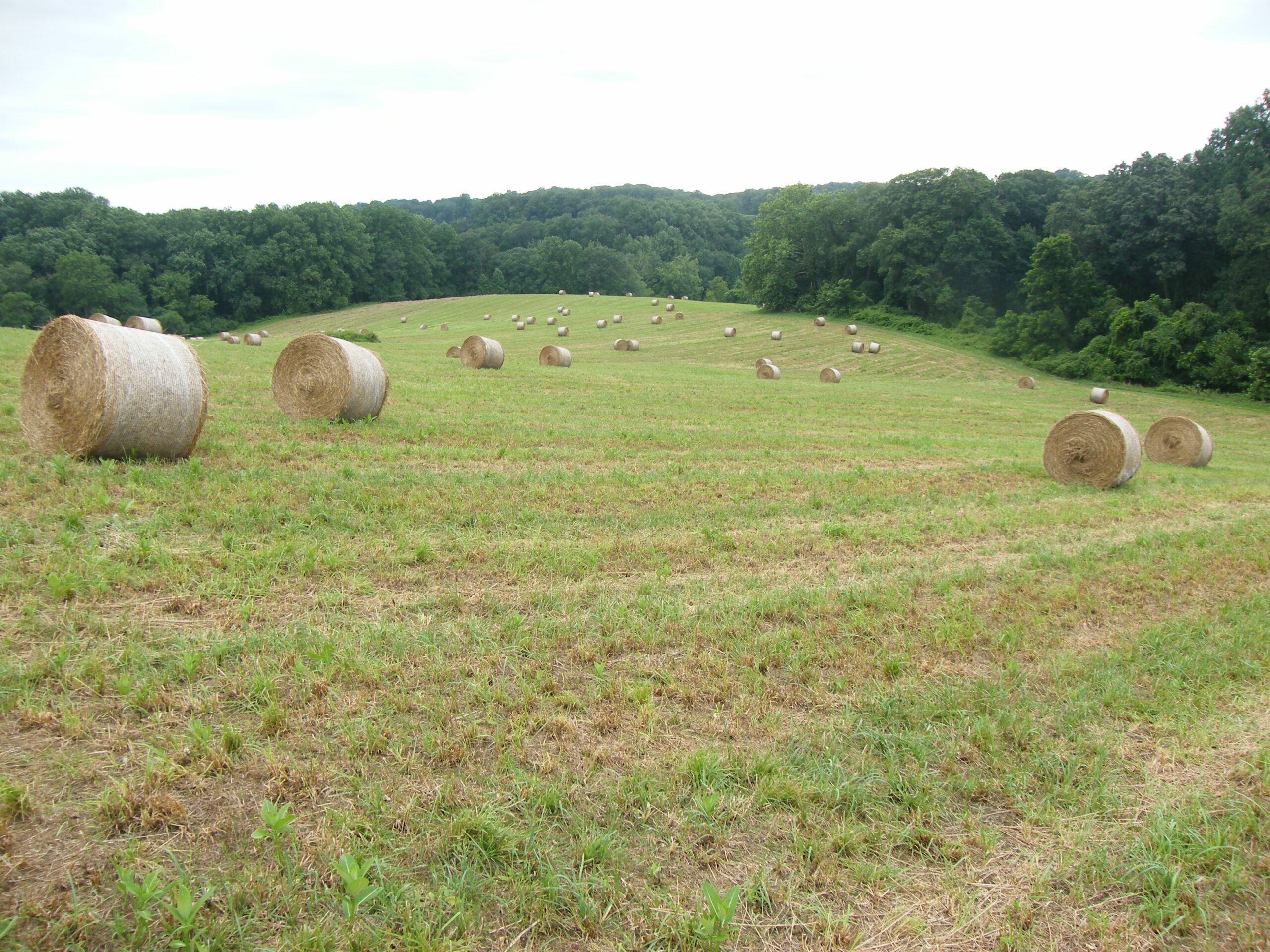 Hay bales as a symbol of rural America