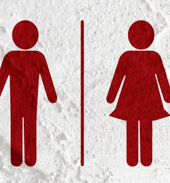 Gender specific icons for marking restrooms
