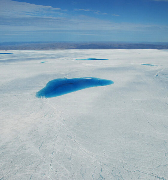 Greenland melt pond