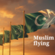 Muslim flags