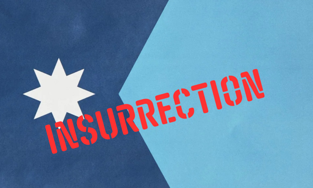 The Minnesota Insurrection