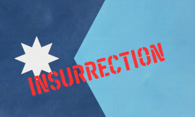 The Minnesota Insurrection