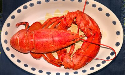 Massachusetts boiled lobster