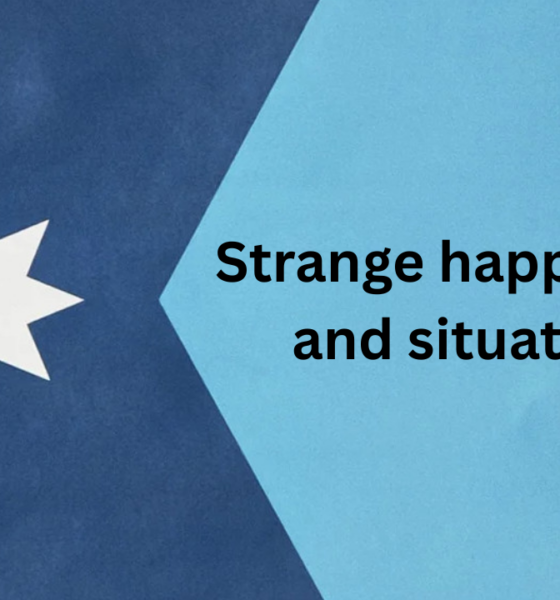 Minnesota is a strange place