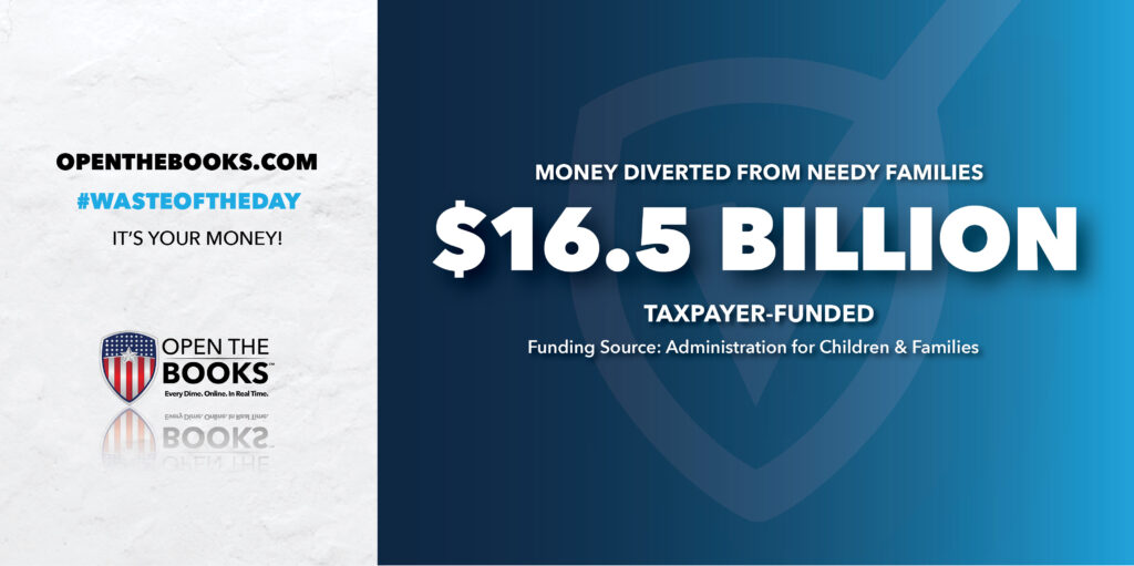 Waste of the Day States Spent Welfare in “Crazy Ways”