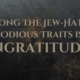 Among the Jew-Haters’ Odious Traits is Ingratitude!