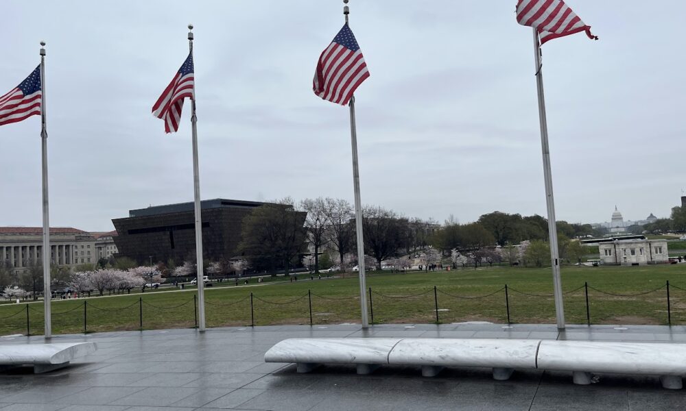 American flags surrounding the Washington Monument