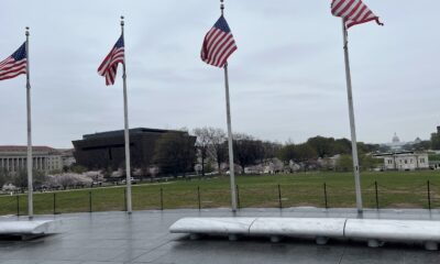 American flags surrounding the Washington Monument