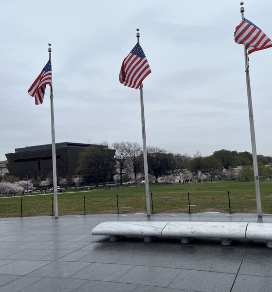 American flags surrounding the Washington Monument