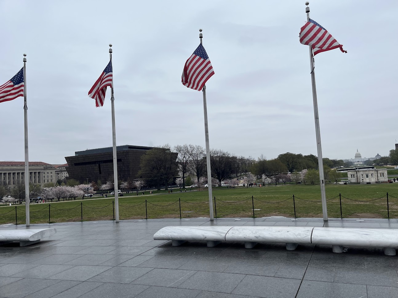 American flags surrounding the Washington Monument