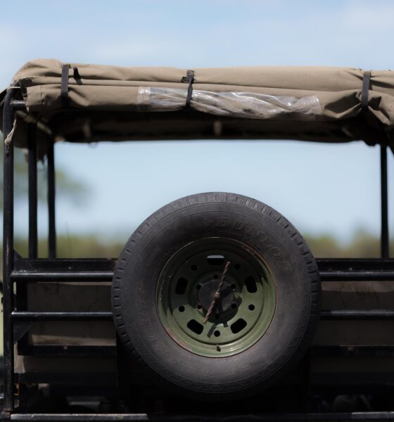 A jeep on African safari