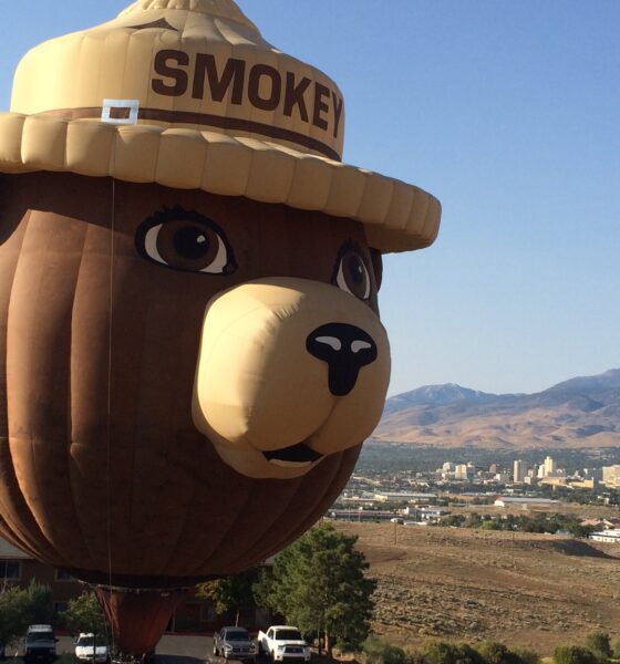 Smokey Bear head as a hot-air balloon