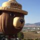 Smokey Bear head as a hot-air balloon