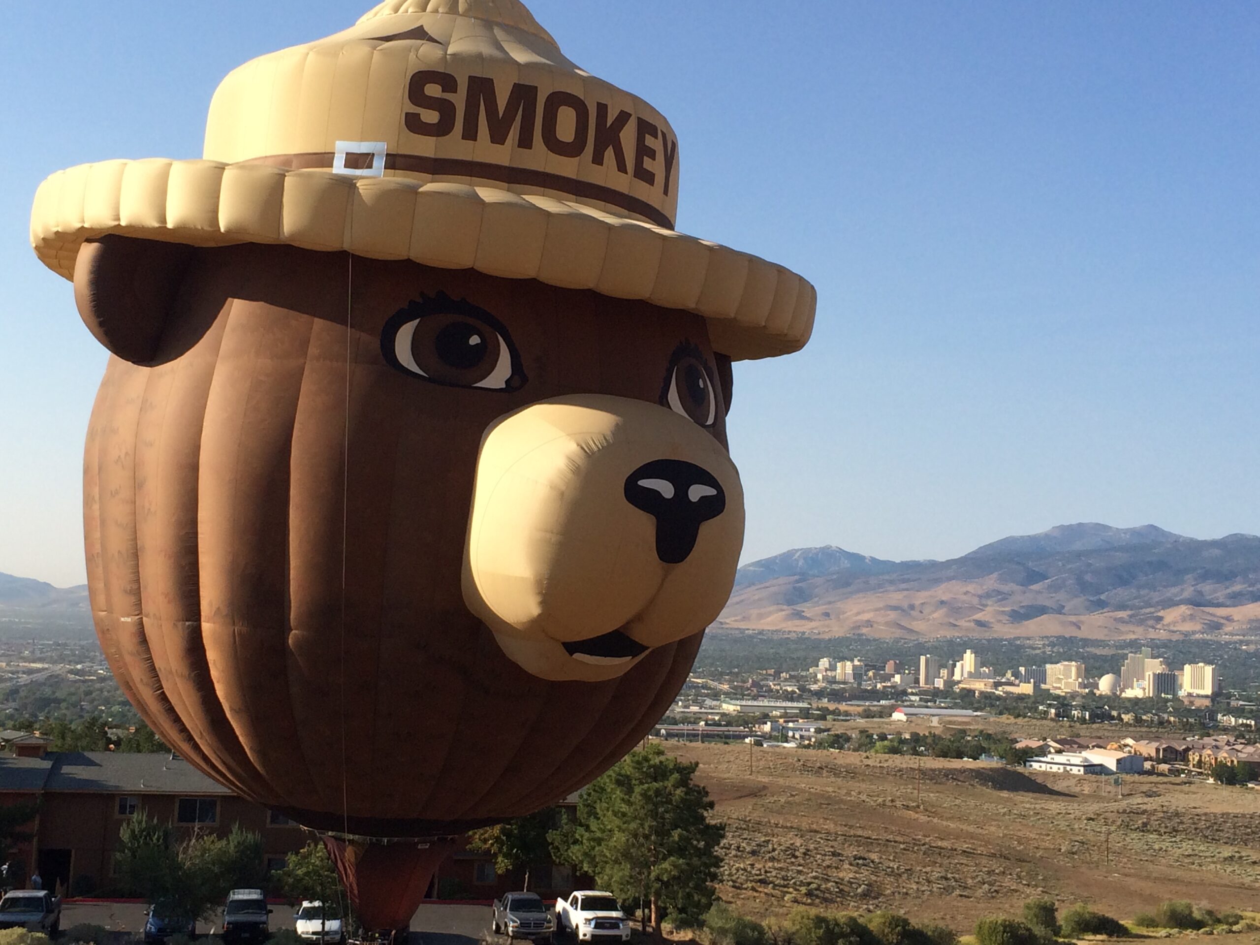 Smokey Bear head as a hot-air balloon