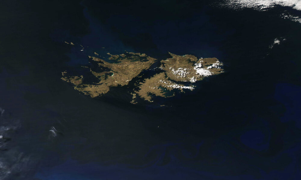 The Falkland Islands (satellite view)