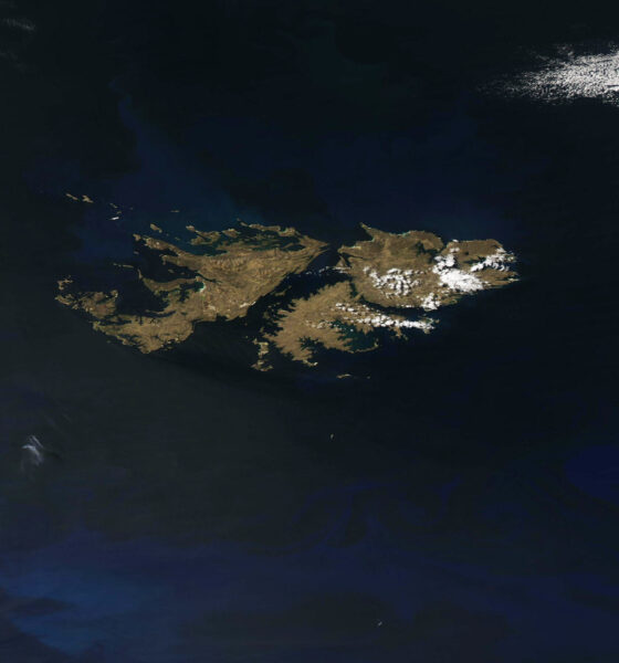 The Falkland Islands (satellite view)