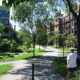 Harvard Law School