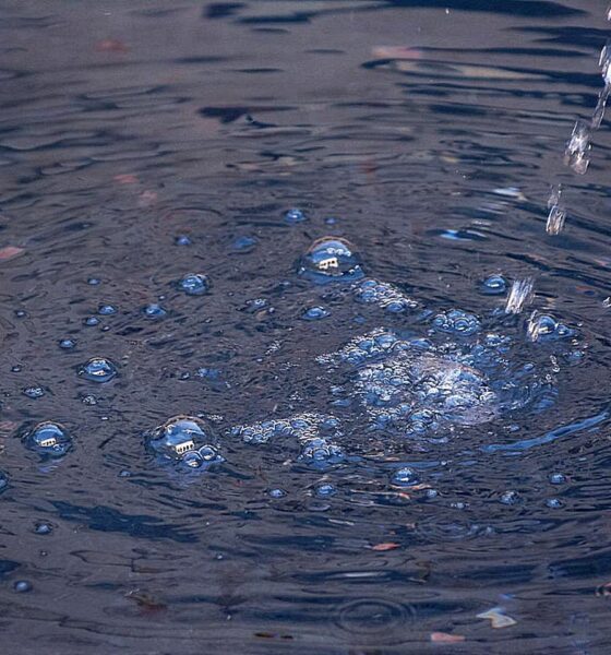 Water cascading from a fountain (fountain not shown)