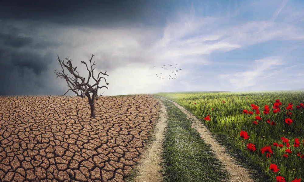 Climate change mitigation and adaptation