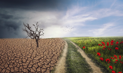 Climate change mitigation and adaptation