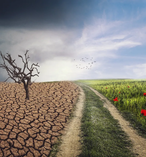 Climate change mitigation and adaptation