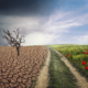 Climate change mitigation and adaptation