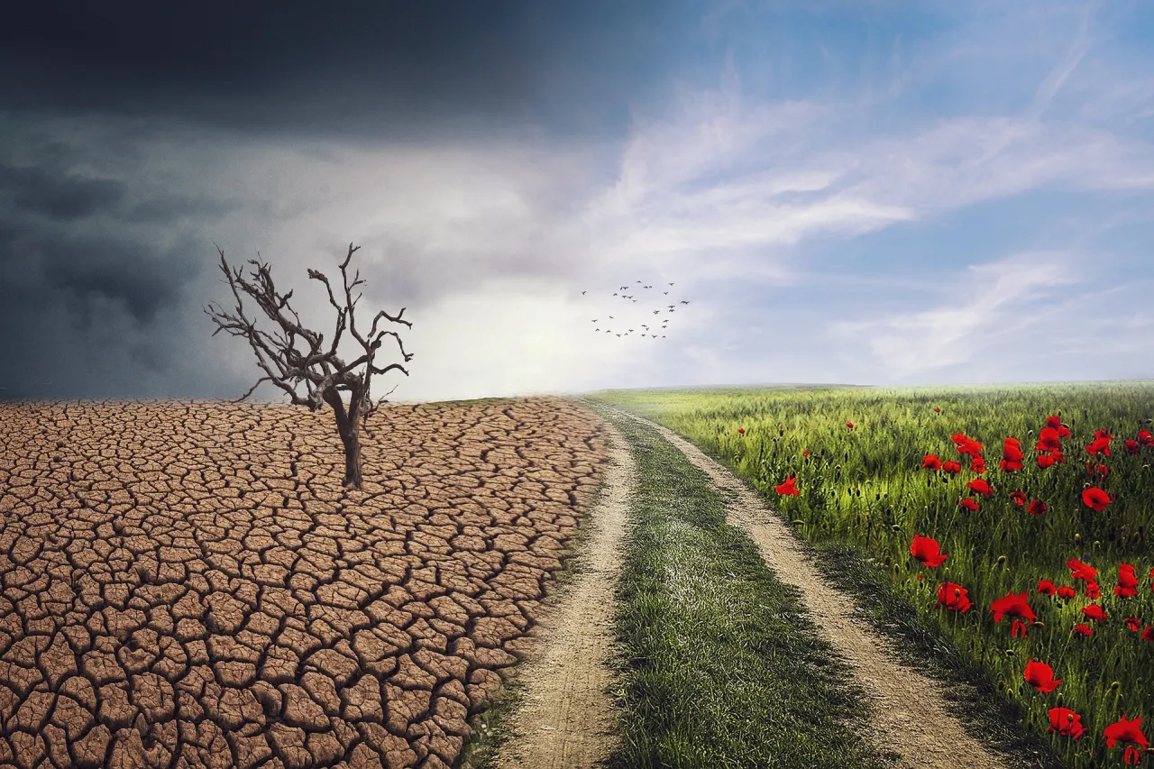 Climate change mitigation and adaptation