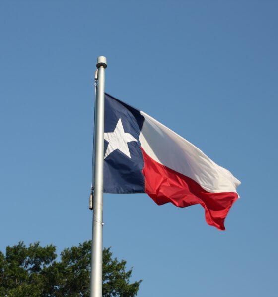 Flag of Texas on flagpole