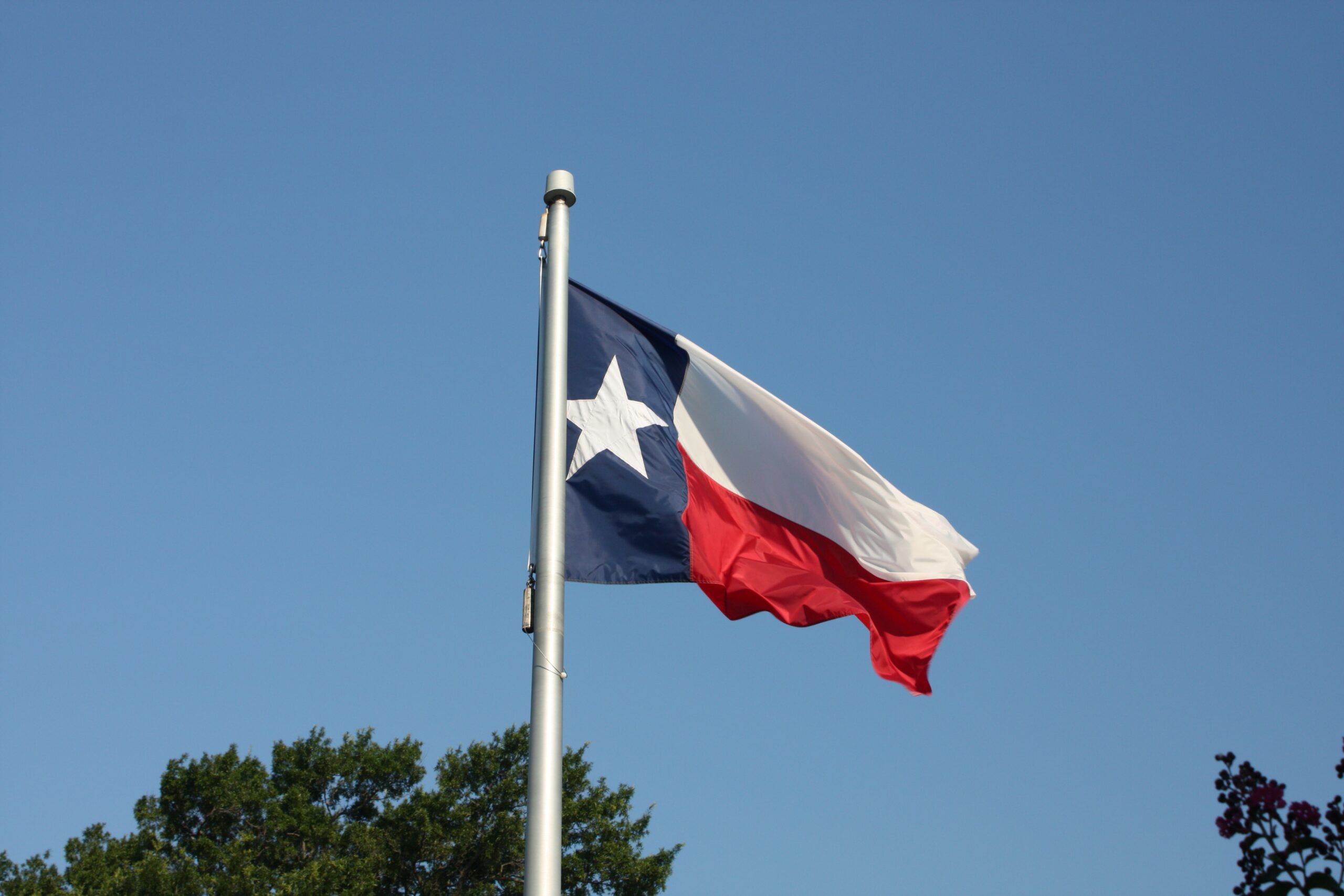 Flag of Texas on flagpole