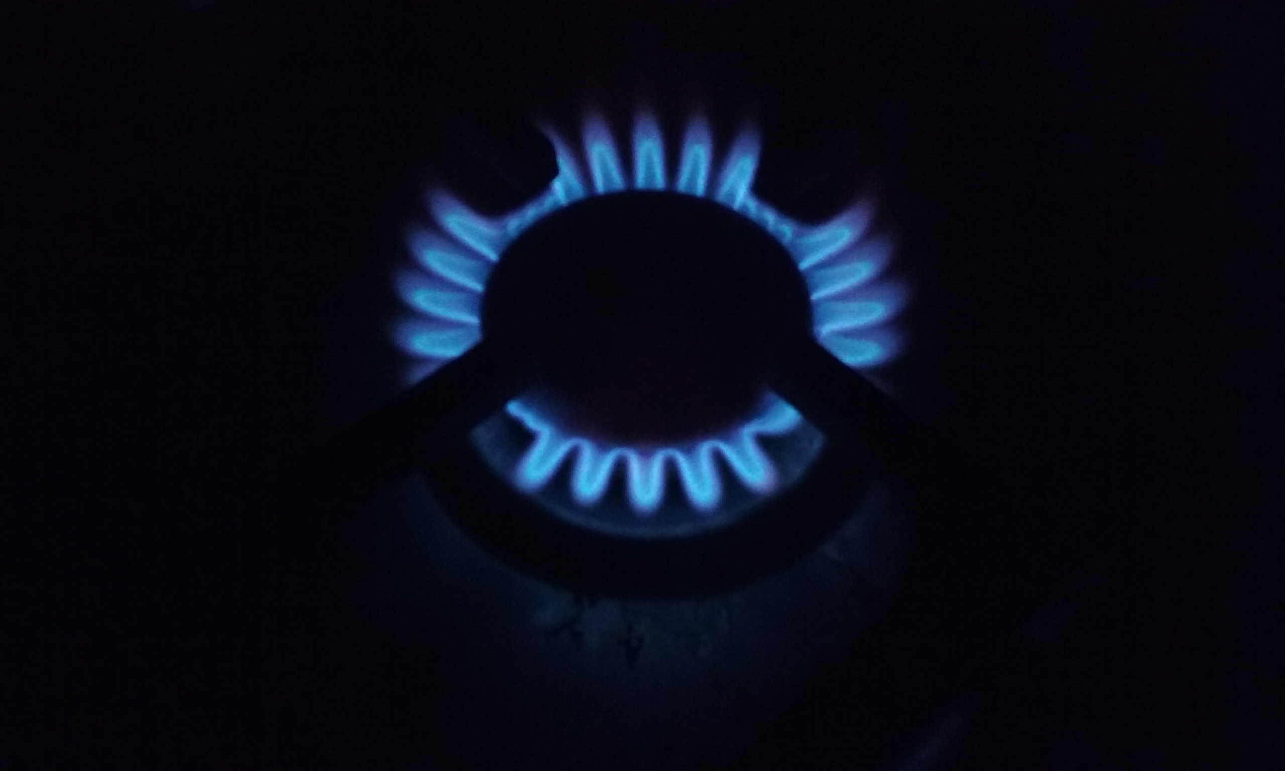 Natural gas burning on a gas stove