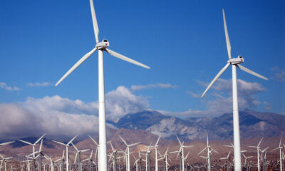 A wind farm with many active wind turbines
