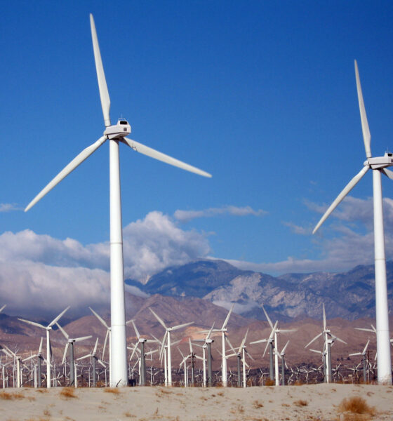 A wind farm with many active wind turbines