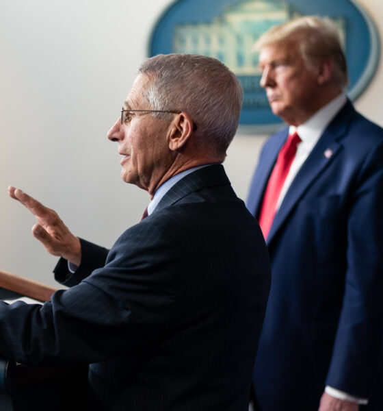 Anthony Fauci (foreground) and Donald Trump