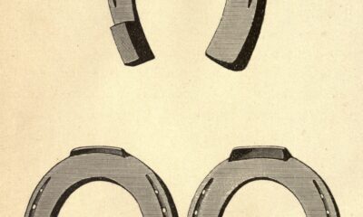 Horse shoes