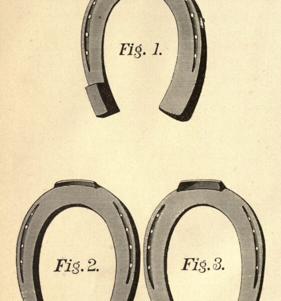 Horse shoes