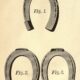 Horse shoes