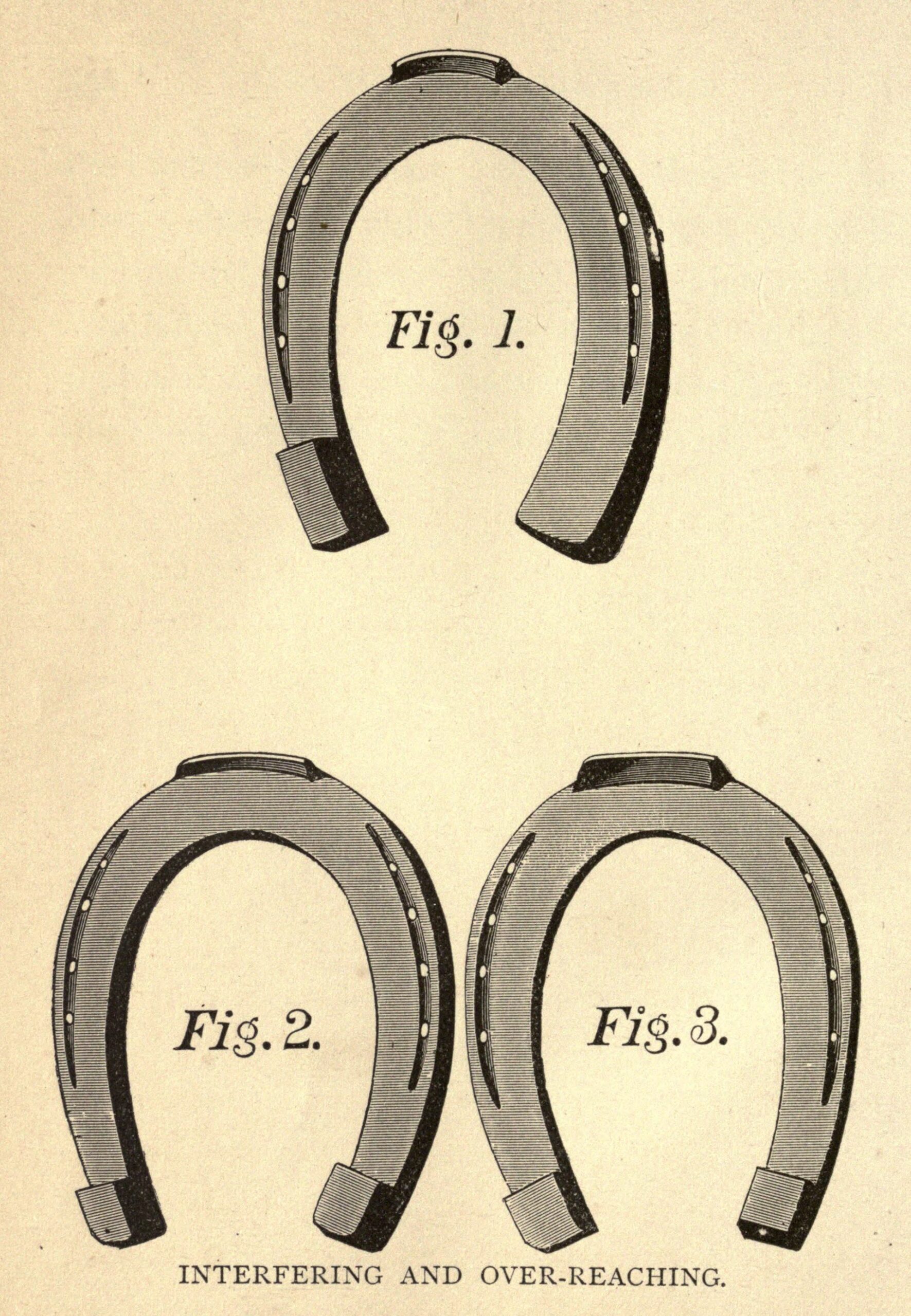 Horse shoes