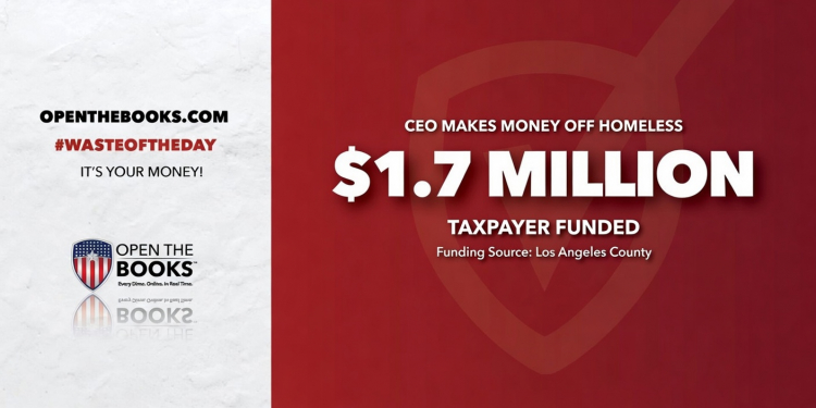 Waste of the Day Non-Profit CEO Profits