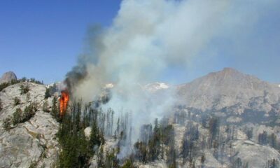 Forest fire in Shoshone National Forest, 2001