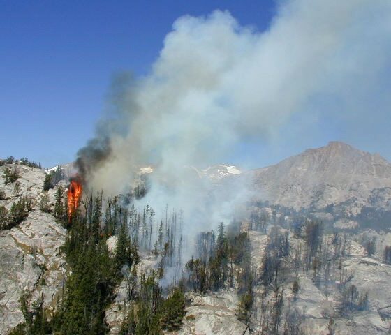 Forest fire in Shoshone National Forest, 2001