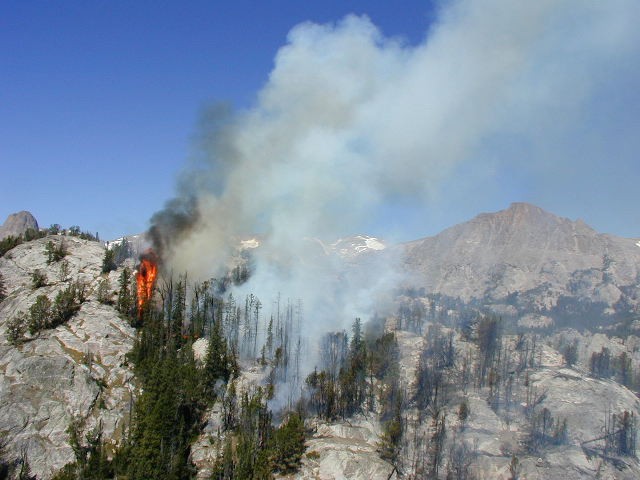 Forest fire in Shoshone National Forest, 2001