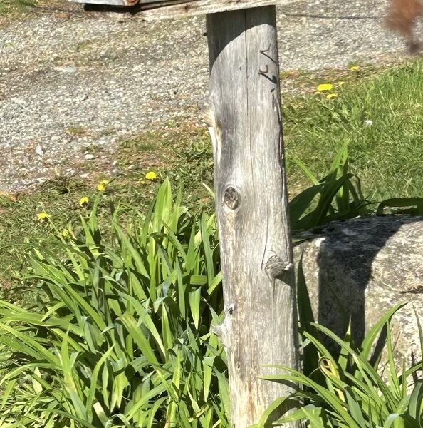 A rural mailbox