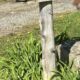 A rural mailbox