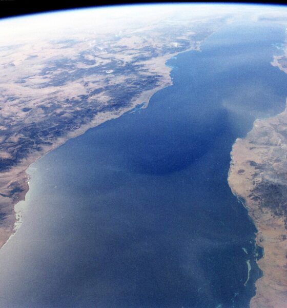 The Red Sea, looking down from the International Space Station