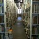 Books in a forgotten part of a very large library